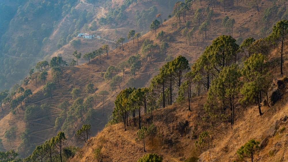Gilbert-Trail-Kasauli